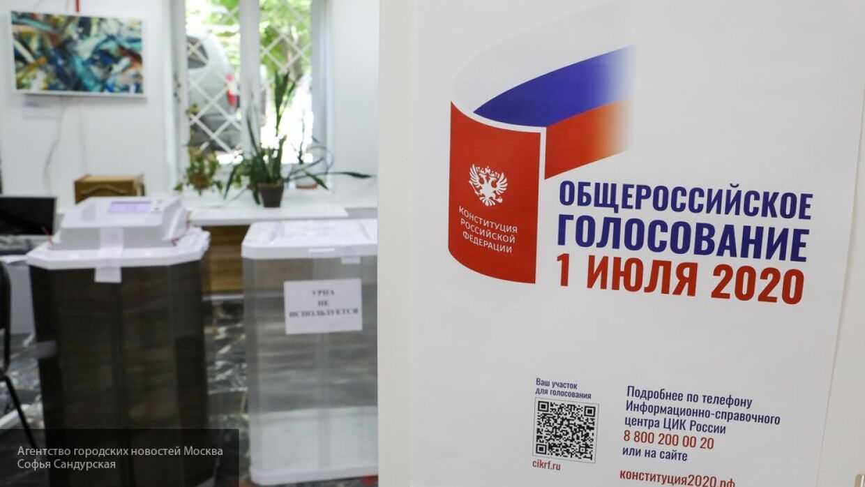 Член ЦИК РФ Шевченко прокомментировал вмешательство Запада в голосование по Конституции