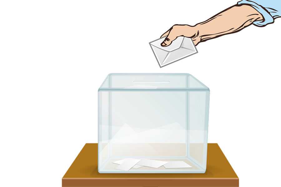 ЦИК объяснил закон о дистанционном голосовании